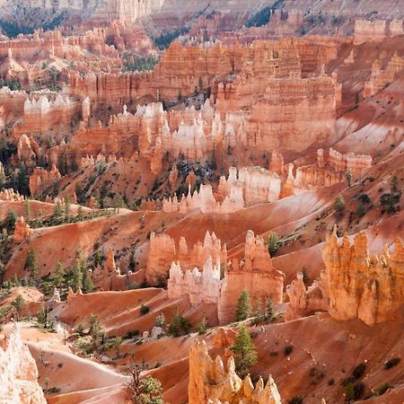 Summers Love Near Zion Np Washington Buitenkant foto