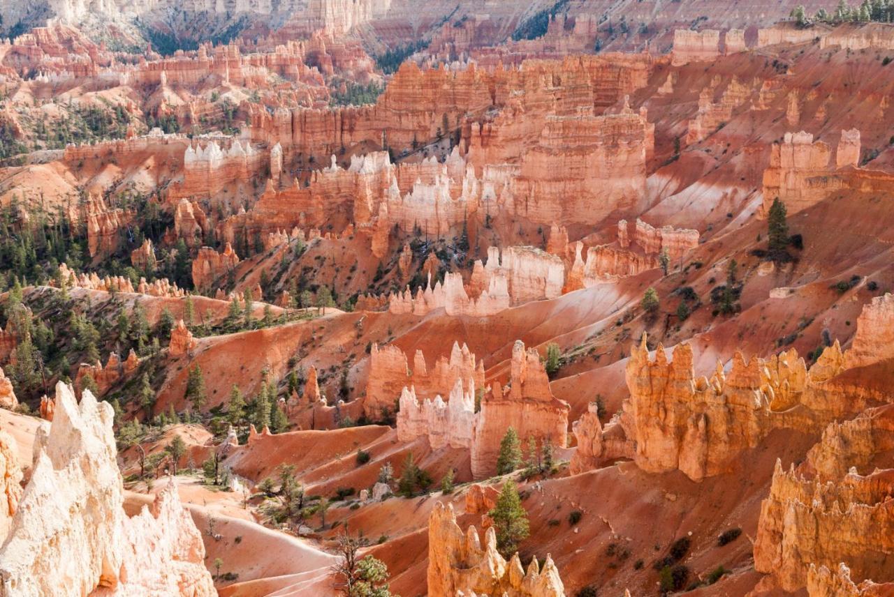 Summers Love Near Zion Np Washington Buitenkant foto