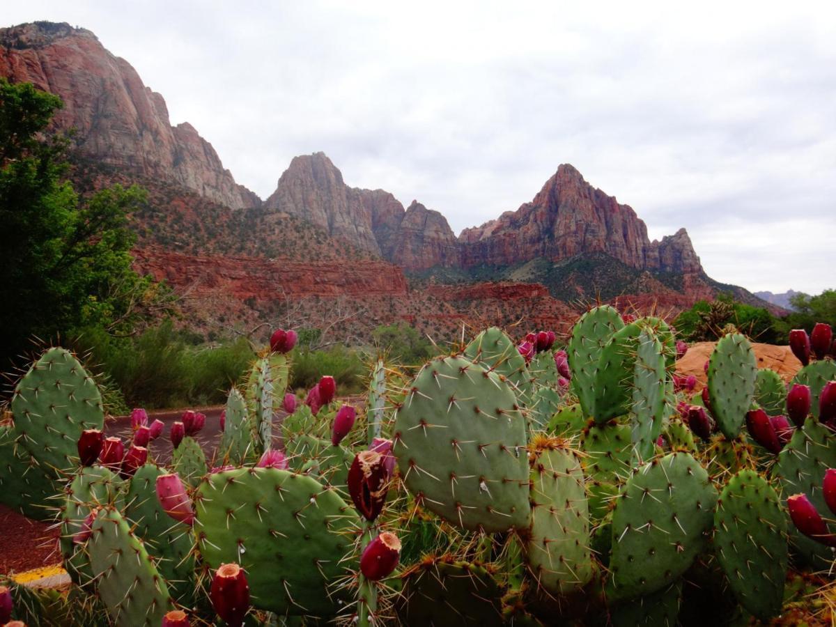 Summers Love Near Zion Np Washington Buitenkant foto